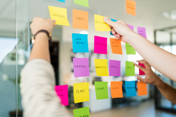 Create A Kindness Manifesto Within Your Business or Organization